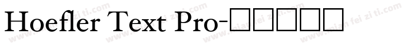 Hoefler Text Pro字体转换